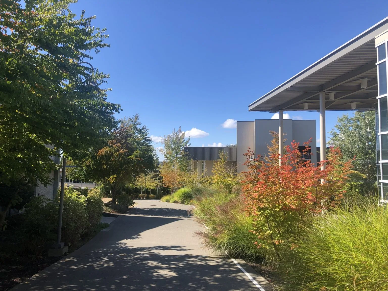 Highline College