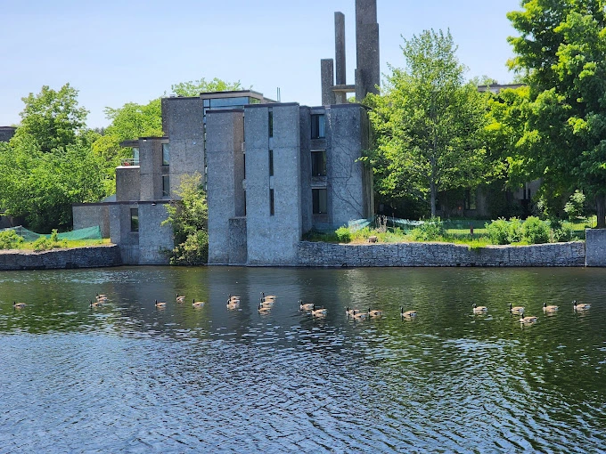 Trent University