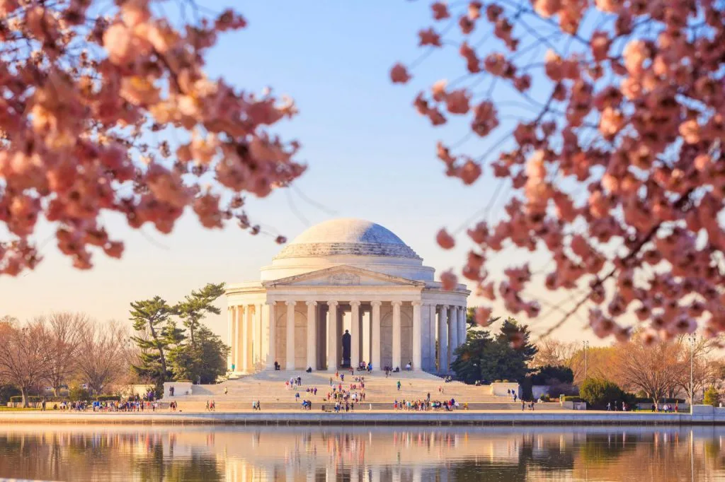 American Collegiate DC